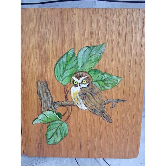 Vintage Hand painted Owl Wooden Plaques Set 3 Barn Owl Great Horned Owl Folk Art - Picture 3 of 10